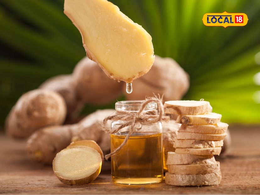  आले (Ginger) हा एक प्राचीन औषधी आणि मसालेदार वनस्पती आहे. आपण त्याचा वापर चहा आणि भाज्यांमध्ये करतो. राजस्थानच्या ग्रामीण भागातही घरगुती उपाय म्हणून याचा वापर केला जातो. अन्नाची चव वाढवण्यासाठी आणि त्याच्या औषधी गुणधर्मांसाठी आल्याचा वापर केला जातो.