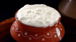 थंडीत दही खावं की नाही ? आहारतज्ज्ञ काय सांगतात ?