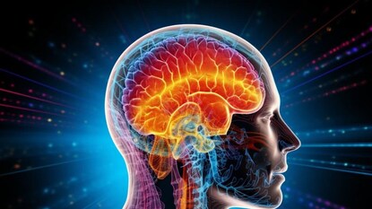 प्रतिकात्मक फोटो : सावधान! तुमचा मेंदू म्हातारा होतोय?