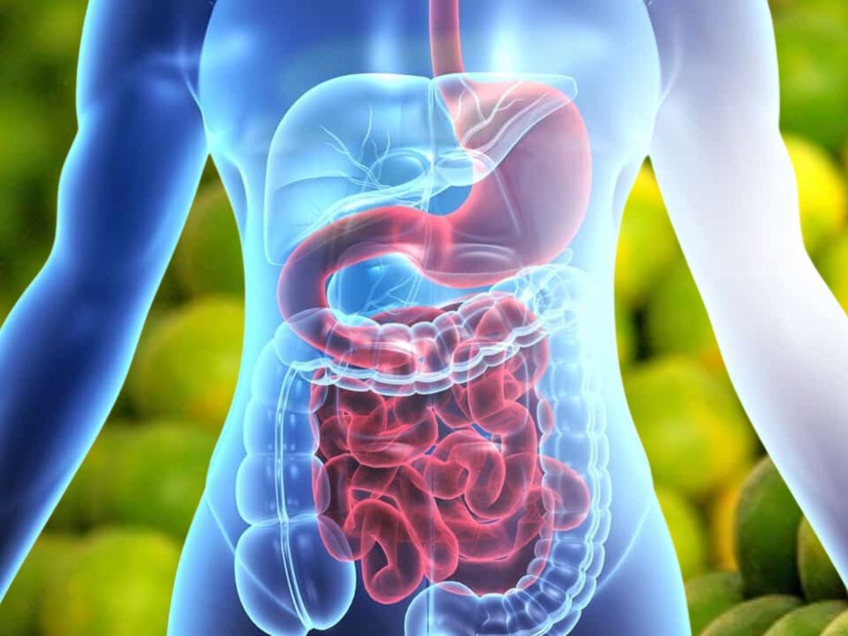 मोसंबीमध्ये फ्लेव्होनॉइड्स असतात. जे पचन सुधारण्यास मदत करतात. मोसंबीचा रस प्यायल्याने पचन समस्या दूर होतात. मोसंबी बद्धकोष्ठतेला कारणीभूत असणारे हानिकारक घटक काढून टाकण्यास मदत करते. 