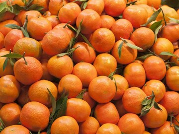 Orange Health Benefits हिवाळ्यात संत्री खाण्याची ‘ही’ आहे योग्य वेळ