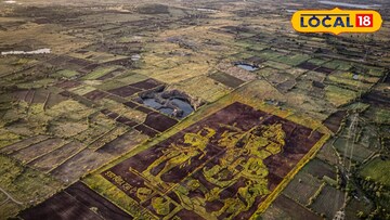 धाराशिइडा