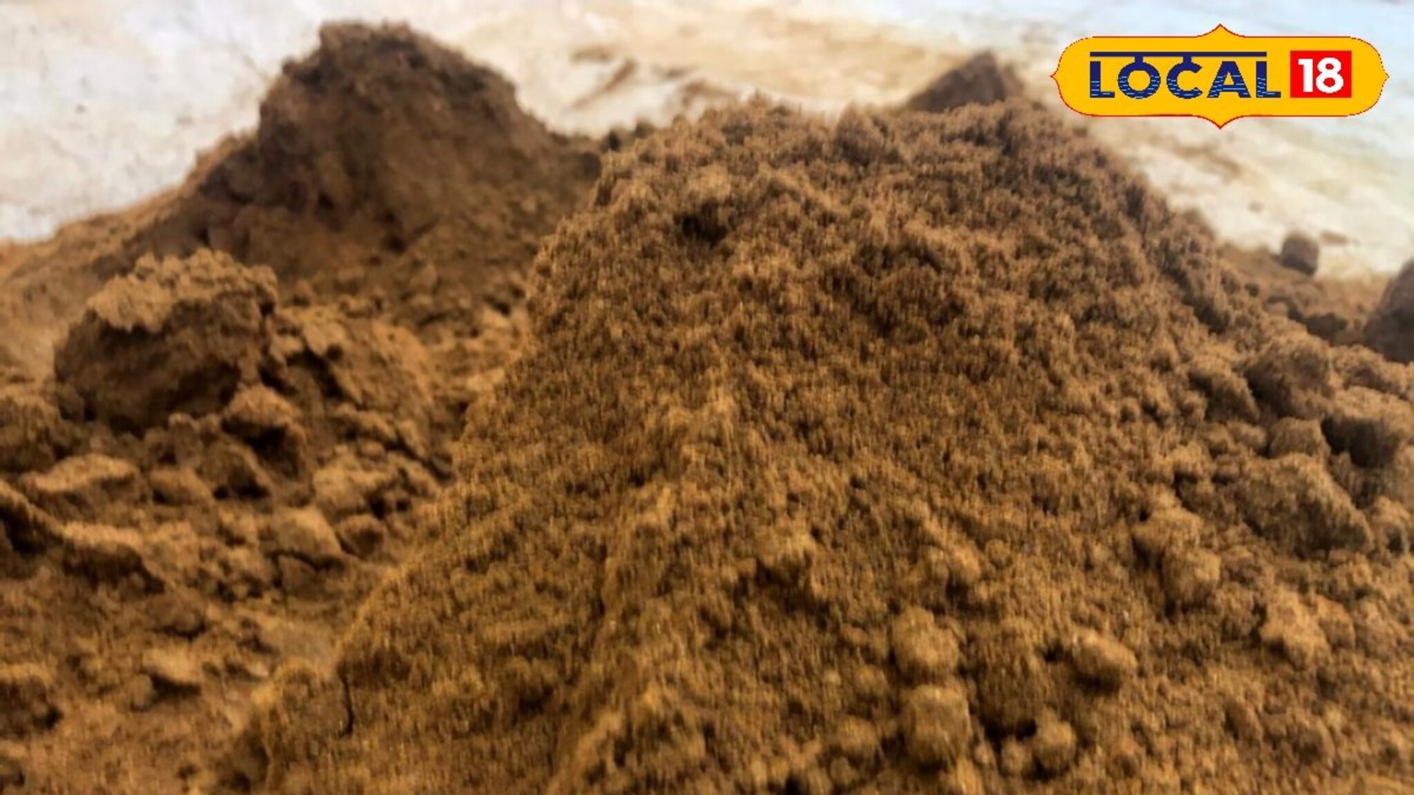 फक्त 5 हजारांची गुंतवणूक, आता 50 लाखांची उलाढाल, एक गृहिणी कशी झाली मालामाल?