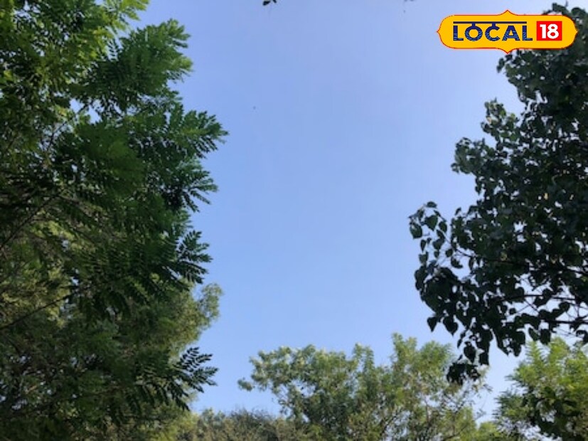 विदर्भातील काही जिल्ह्यांमध्ये किमान तापमानात घट होताना दिसून येत आहे. नागपूर, चंद्रपूर, वर्धा, बुलढाणा, वाशिम, गडचिरोली, भंडारा, यवतमाळ या सर्व जिल्ह्यातील किमान तापमान हे 18 अंश सेल्सिअस ते 19 अंश सेल्सिअस इतके आहे. तर गोंदिया जिल्ह्यांत किमान तापमान 17 अंश सेल्सिअस इतके आहे.