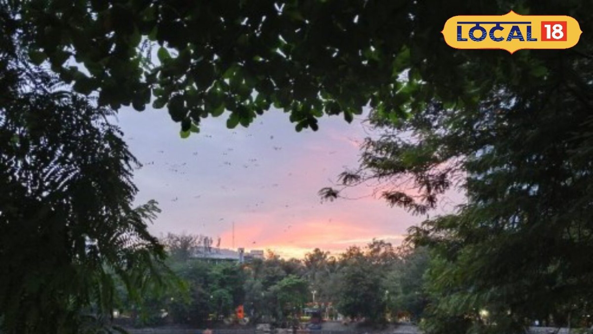 मुंबईकरांना उकाड्यापासून दिलासा! तापमानात घट, पाहा हवामान