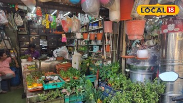 गार्डनिंग