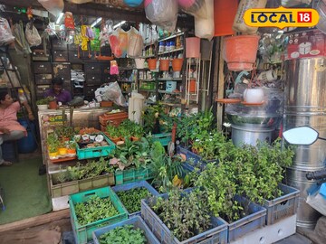 गार्डनिंग