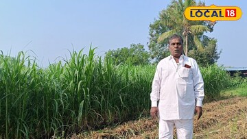 कार्यकर्त्याची