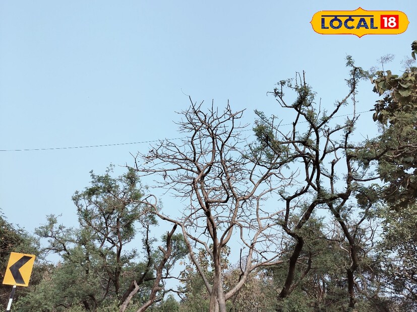 मराठवाड्यात रात्री थंडी तर दिवसा कडक ऊन असे चित्र आहे. काही ठिकाणी किमान तापमान 15 अंशांपर्यंत घसरलं असून कमाल तापमान तिशीपार कायम आहे.