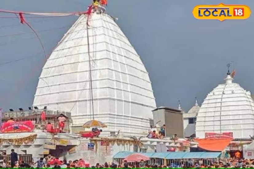 देवघरचे आचार्य यांनी याबाबत माहिती दिली. ज्या पदार्थांमध्ये वेलची टाकली जाते, त्याची चवही वाढते. अनेकजण वेलचीचा वापर माऊथ फ्रेशनर म्हणून करतात. मात्र, या वेलचीमुळे अनेक समस्याही सुटू शकतात, असे ज्योतिष शास्त्रात सांगितले आहे.  देवघरचे आचार्य यांनी याबाबत माहिती दिली. ज्या पदार्थांमध्ये वेलची टाकली जाते, त्याची चवही वाढते. अनेकजण वेलचीचा वापर माऊथ फ्रेशनर म्हणून करतात. मात्र, या वेलचीमुळे अनेक समस्याही सुटू शकतात, असे ज्योतिष शास्त्रात सांगितले आहे.
