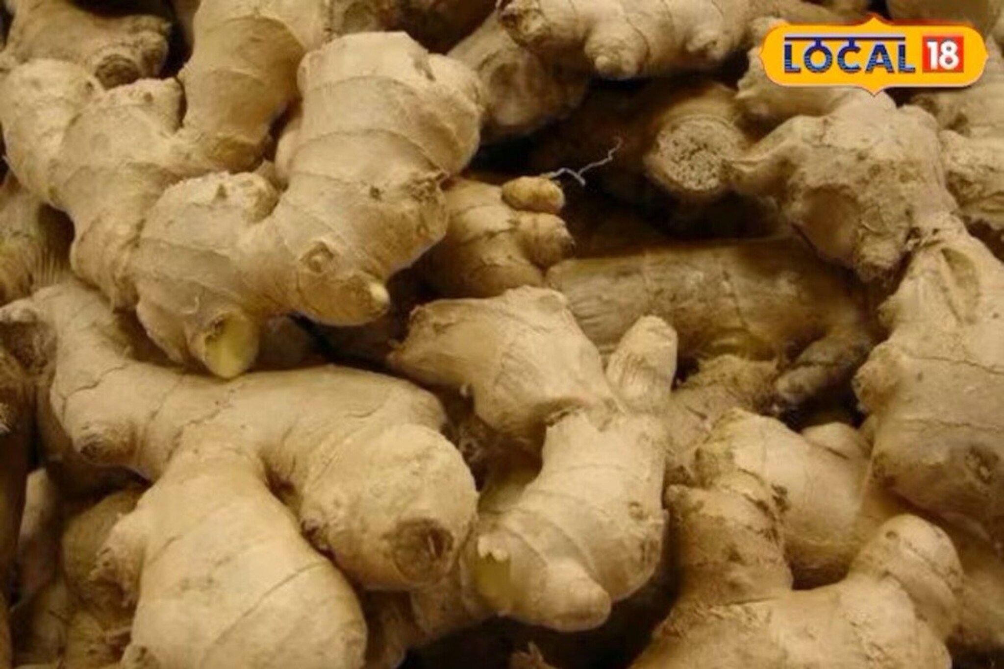 ginger benefits : सांधेदुखीवर रामबाण उपाय, अद्रकचे आहेत खूपच फायदे