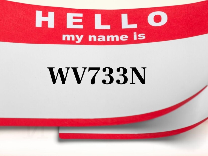 असंच एक नाव जे सध्या सोशल मीडियावर व्हायरल होतो आहे. एका मुलीला तिचं नाव विचारण्यात आलं तेव्हा तिनं तिचं नाव WV733N असं सांगितलं.