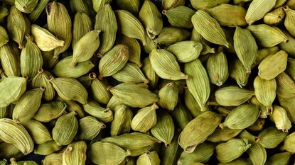 प्रतिकात्मक फोटो : एक वेलची दूर ठेवेल कॅन्सर आणि हार्ट ॲटॅकला 