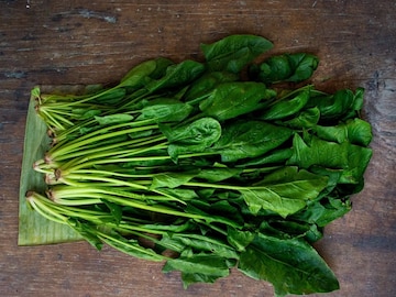 शकाहारी आहात तरीही टेन्शन नको; ‘या’ भाज्यांमधून मिळेल भरपूर व्हिटॅमिन बी12 शकाहारी आहात तरीही टेन्शन नको; ‘या’ भाज्यांमधून मिळेल भरपूर व्हिटॅमिन बी12