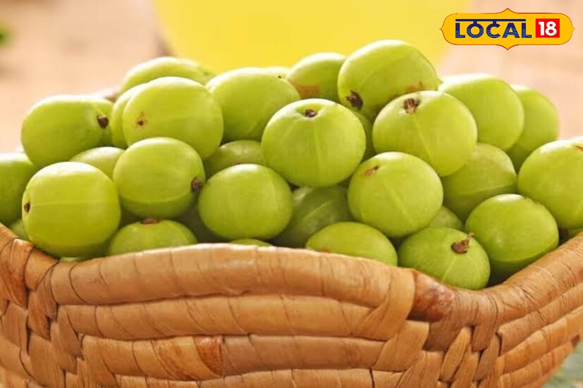 आंबट-तुरट चवीचा आवळा शरीरासाठी अनेक पोषक तत्त्वांचा खजिना मानला जातो. याबाबतच छत्रपती संभाजीनगर येथील आहारतज्ज्ञ मंजू मंठाळकर यांनी माहिती दिलीये.