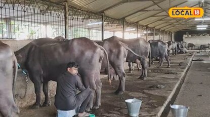 आठवी पास व्यक्ती महिन्याला कमावतोय 3 लाख. 