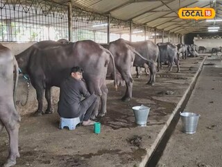 आठवी पास व्यक्ती महिन्याला कमावतोय 3 लाख. 