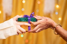 तुमच्या ताईला लखपती नाही करोडपती दीदी करा, भाऊबीजेला ओवळणी म्हणून ही योजना पाहाच