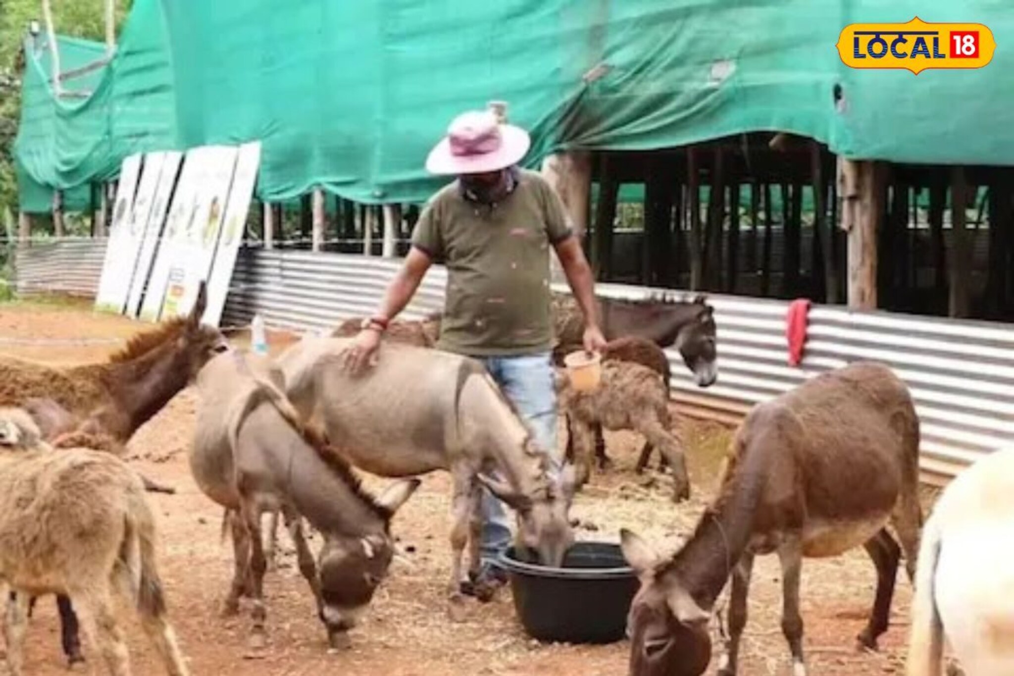 नोकरी सोडून केला व्यवसाय, गडी 5 दिवसात झाला लखपती, कसं मिळवलं हे यश?