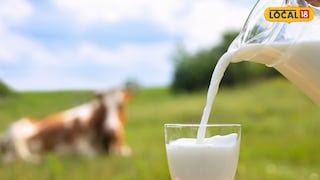 प्रतिकात्मक फोटो