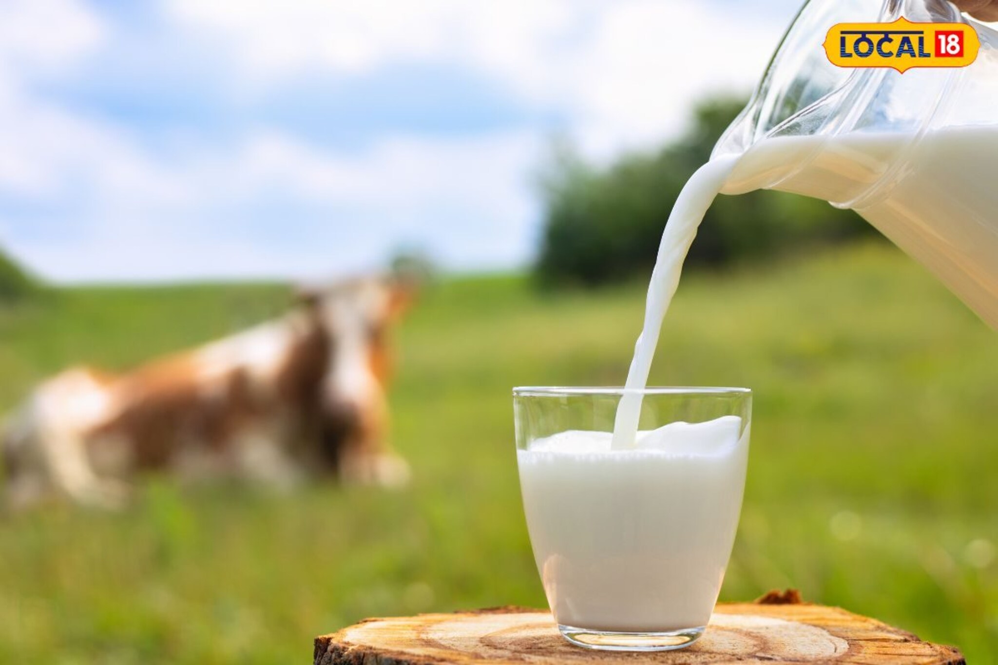 बाजारात खुलेआम विकले जात नाही!, गायी, म्हशीच्या दुधापेक्षाही हे दूध 'पॉवरफूल'