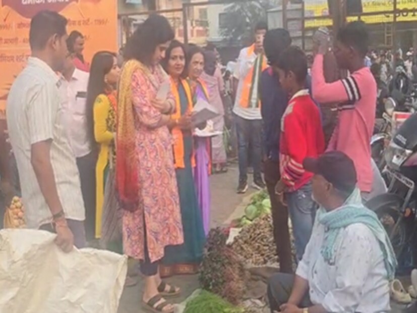 भाजपचे उमेदवार शिवेंद्रसिंहराजे यांच्या प्रचारासाठी त्यांची लेक मृणालीराजे मैदानात उतरल्या आहेत.