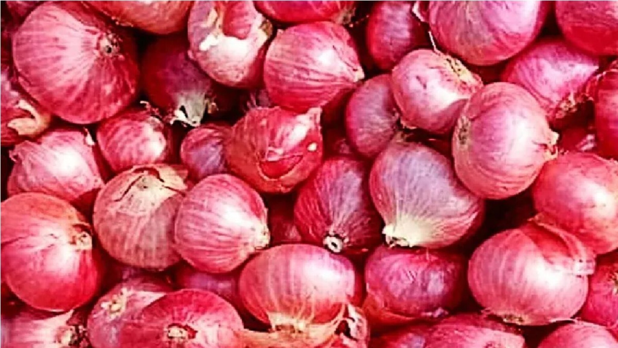 Explainer : कांद्याने आतापर्यंत अनेक राजकारण्यांचा केलाय 'वांदा', नेत्यांच्या मनात कांदा प्रश्नाबाबत नेहमीच भीती का असते? जाणून घ्या