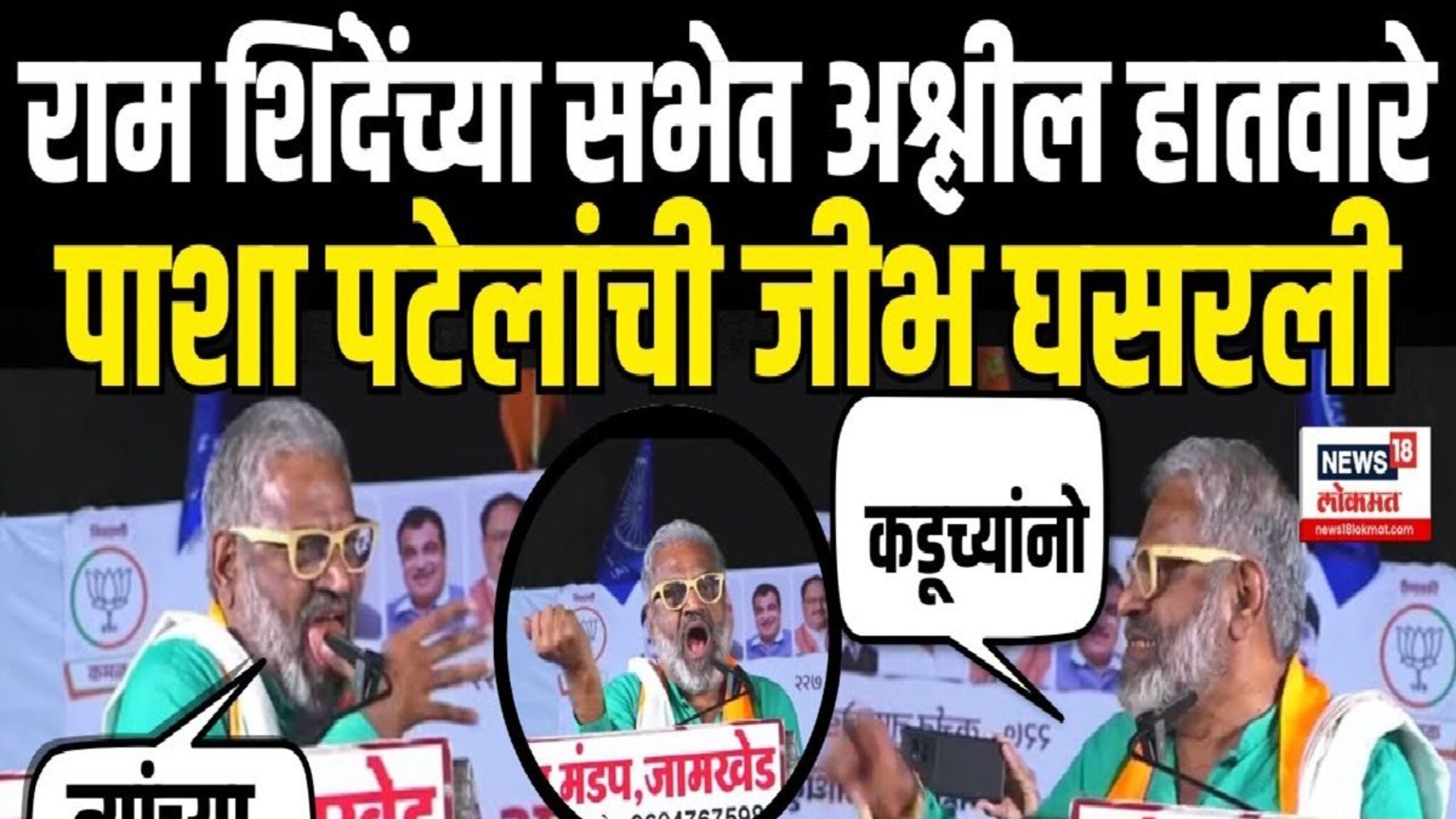 'म्हातारं म्हातारीला चोळी शिवू द्यायचं नाही' पाशा पटेलांचे सभेत अश्लिल हातवारे