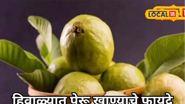 हिवाळ्यात