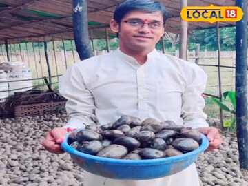 News18 News18