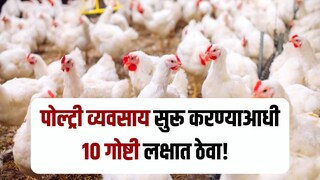 पोल्ट्री फार्म व्यवसाय