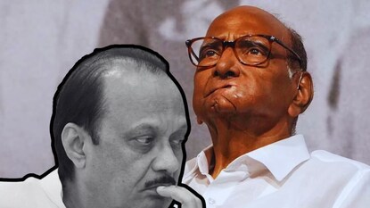 राजकारणामुळे आलेला पवार कुटुंबातील दुरावा संपतोय का? 'या' गोष्टींनी मिळताहेत संकेत राजकारणामुळे आलेला पवार कुटुंबातील दुरावा संपतोय का? 'या' गोष्टींनी मिळताहेत संकेत