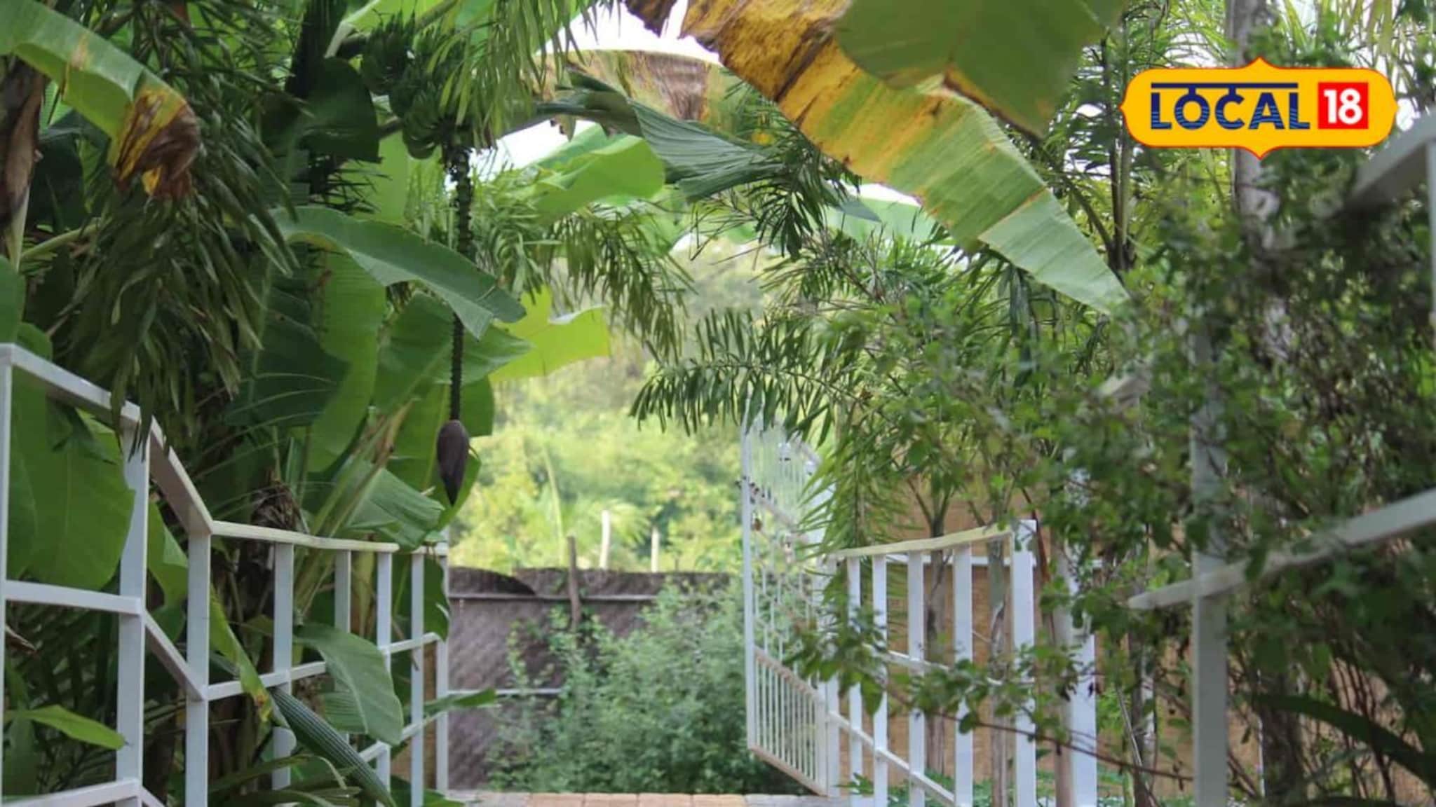 गोबर गॅसपासून स्वच्छतेपर्यंत: गोपुरीतला अनोखा उपक्रम