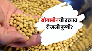 सोयाबीनचे भाव का वाढत नाहीत? सोयाबीनचे भाव का वाढत नाहीत?