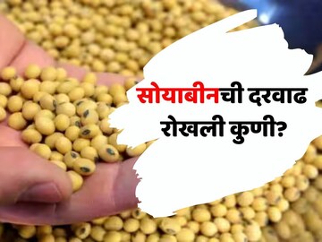 सोयाबीनचे भाव का वाढत नाहीत? 