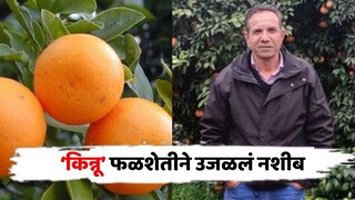 किन्नू फळशेती 