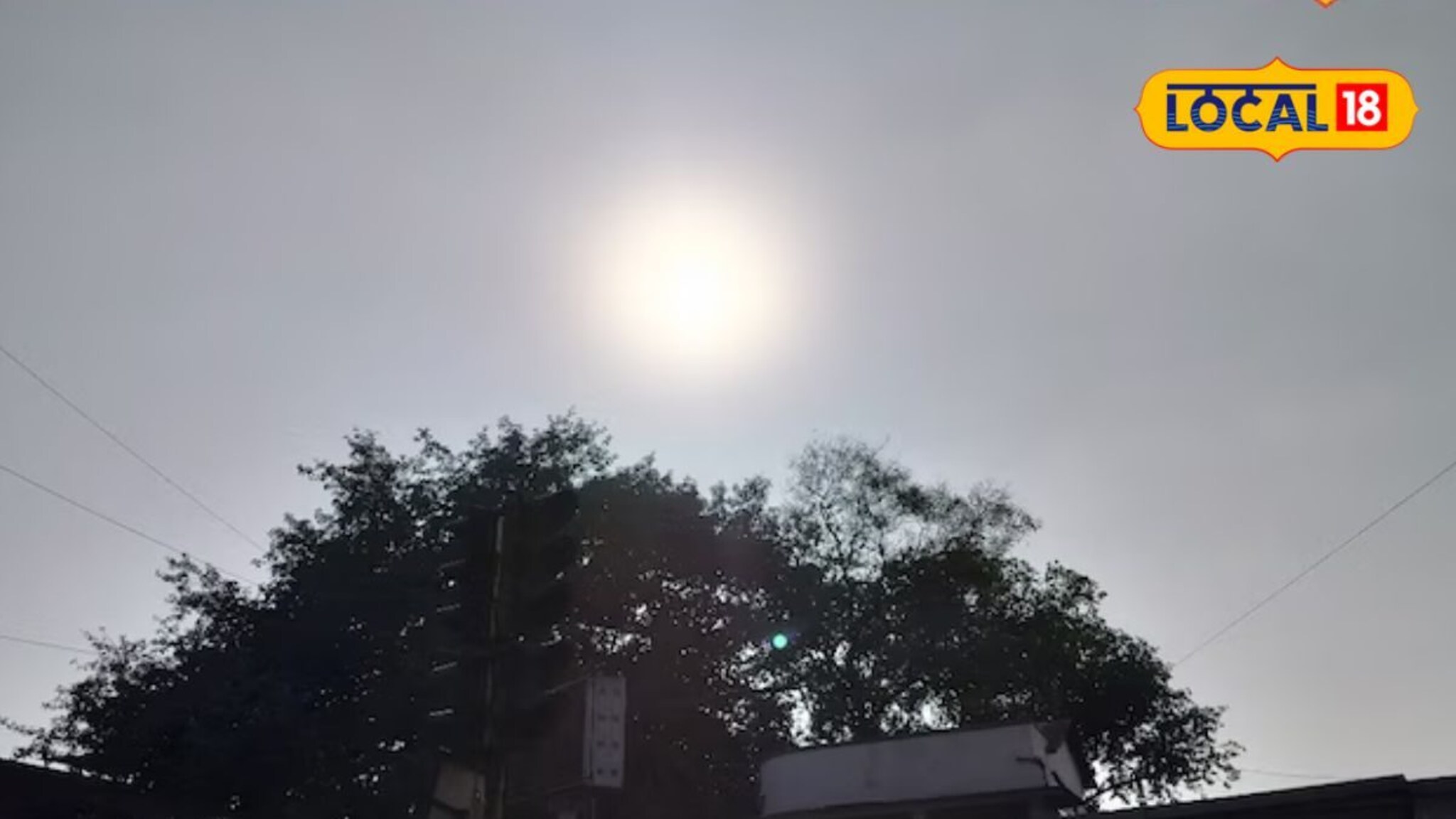 विदर्भातील पारा घसरला, थंडीचा कडाका आणखी वाढणार, पाहा आजचं हवामान