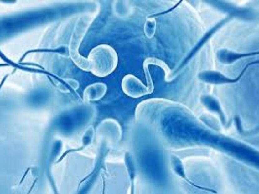 अंडं स्वतः हलत नाही. छोटे छोटे केसांसारखे असणाऱ्या संरचना त्यांना ढकलतात. याच्या उलट प्रवाहात शुक्राणूंना तरंगावं लागतं.