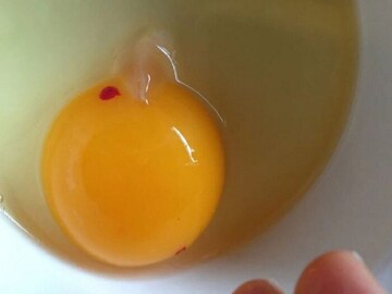 रक्ताचा स्पॉट असलेलं अंड खाल्लं तर चालतं का? याचे शरीरावर काय होतात परिणाम?