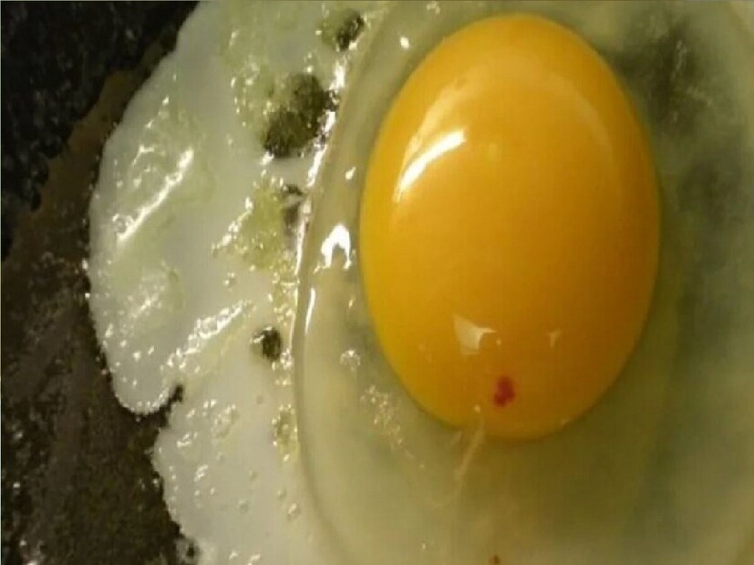 जेव्हा अंडी फॅलोपियन ट्यूबमधून जाते तेव्हा त्यात बहुतेकदा मांस किंवा रक्ताचे तुकडे असतात. यामध्ये शरीराला हानी पोहोचवणारी कोणतीही गोष्ट नसते.