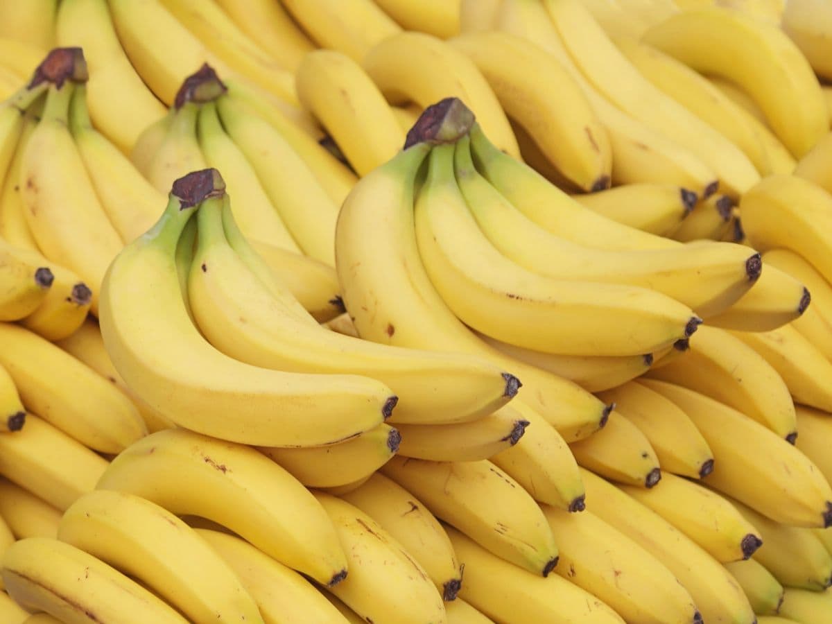 Fruits for gut health हिवाळ्यात पोटदुखी, बद्धकोष्ठतेचा त्रास होतो आहारात करा या गोष्टींचा समावेश त्रास होईल दूर