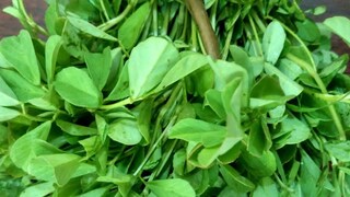 प्रतिकात्मक फोटो : मेथीच्या भाजीचे आहेत इतके फायदे; नियमित वापराने दूर पळतील गंभीर आजार