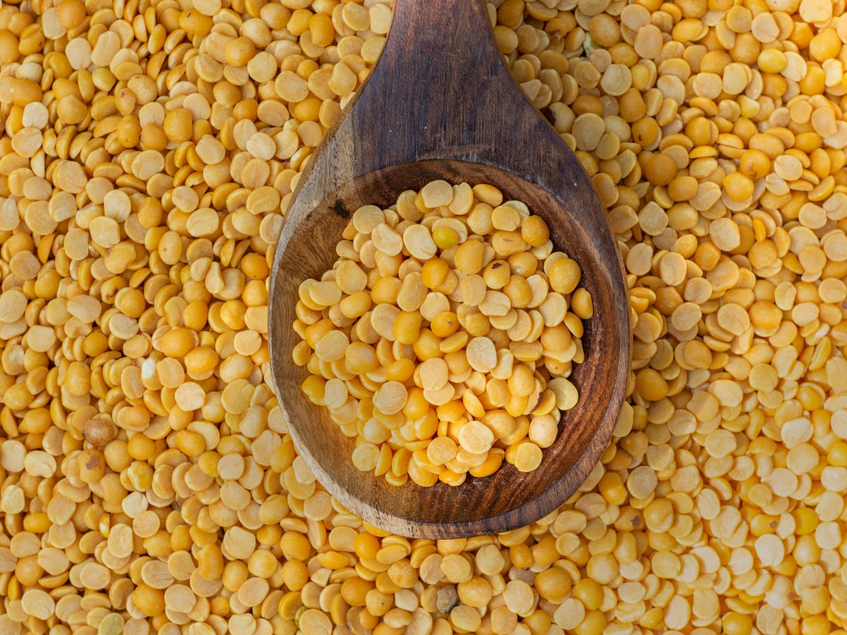 Benefits & Side Effects of Tur Dal: ‘हे’ आजार असलेल्या रूग्णांसाठी खाऊ नये तूरडाळ