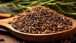 प्रतिकात्मक फोटो : ओवा आहे इतका शक्तिशाली; एकदा खाल्ल्याने होतील इतके फायदे प्रतिकात्मक फोटो : ओवा आहे इतका शक्तिशाली; एकदा खाल्ल्याने होतील इतके फायदे