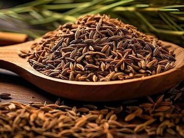 प्रतिकात्मक फोटो : ओवा आहे इतका शक्तिशाली; एकदा खाल्ल्याने होतील इतके फायदे 