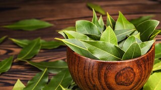 प्रतिकात्मक फोटो : तमालपत्र 