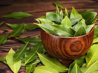 प्रतिकात्मक फोटो : तमालपत्र 