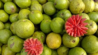 प्रतिकात्मक फोटो : लाल आणि पांढऱ्या पेरूमध्ये नेमका फरक काय? चांगला पेरू न कापता ओळखायचा कसा ? प्रतिकात्मक फोटो : लाल आणि पांढऱ्या पेरूमध्ये नेमका फरक काय? चांगला पेरू न कापता ओळखायचा कसा ?