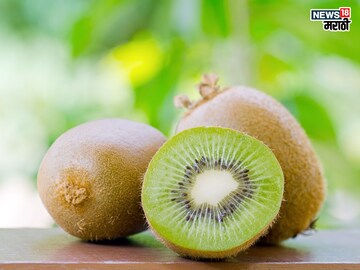 Benefits of Kiwi: ‘मूर्ती लहान पण कीर्ती महान’; किवी फळाचे आहेत ‘इतके’ फायदे Benefits of Kiwi: ‘मूर्ती लहान पण कीर्ती महान’; किवी फळाचे आहेत ‘इतके’ फायदे
