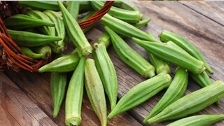 प्रतिकात्मक फोटो : अनेक गंभीर आजारांवर गुणकारी आहे भेंडी, नियमित खाल्ल्याने घ्यावी लागणार नाहीत औषधं